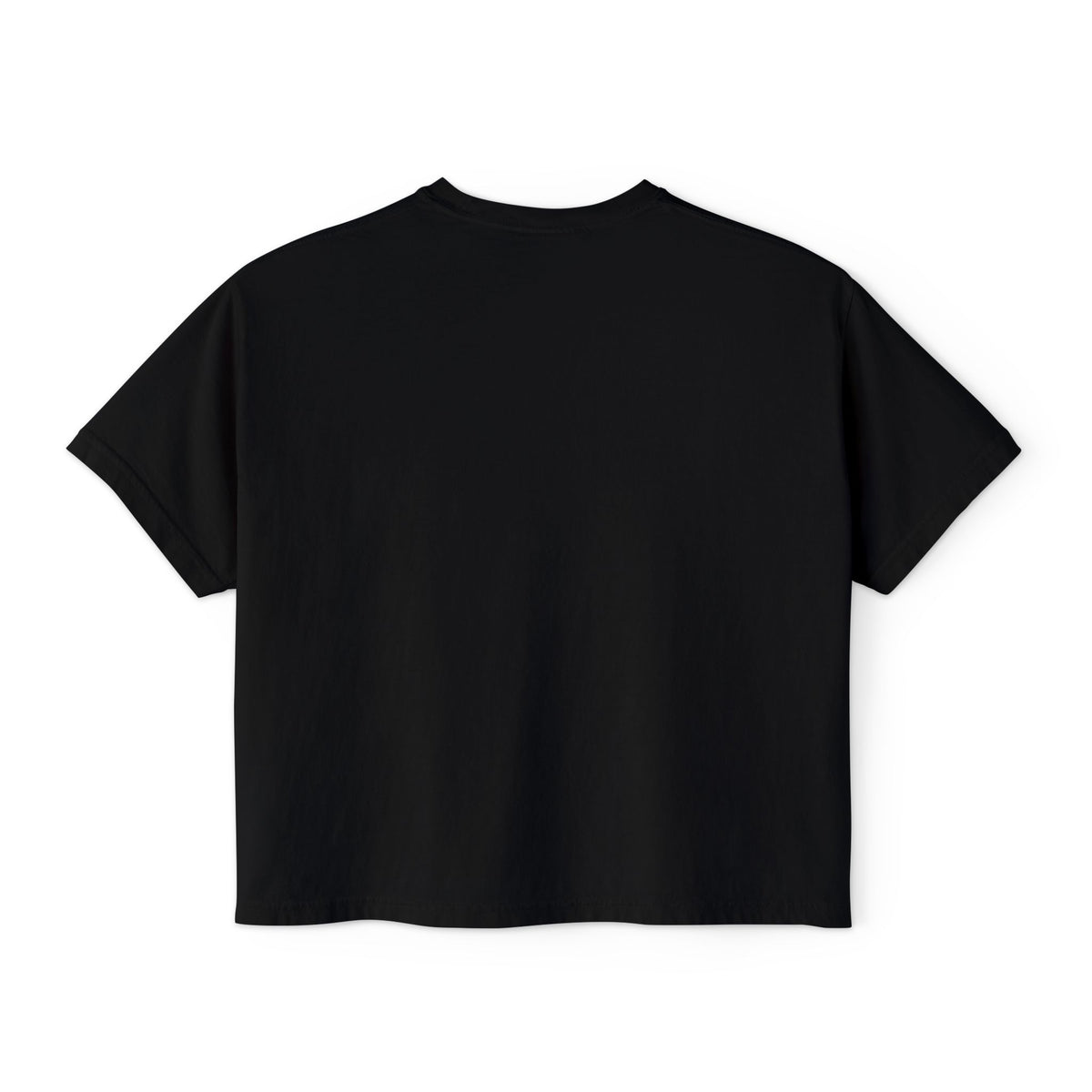 Women’s SportCLT Oversized Hometown Pennant Cropped T-Shirt