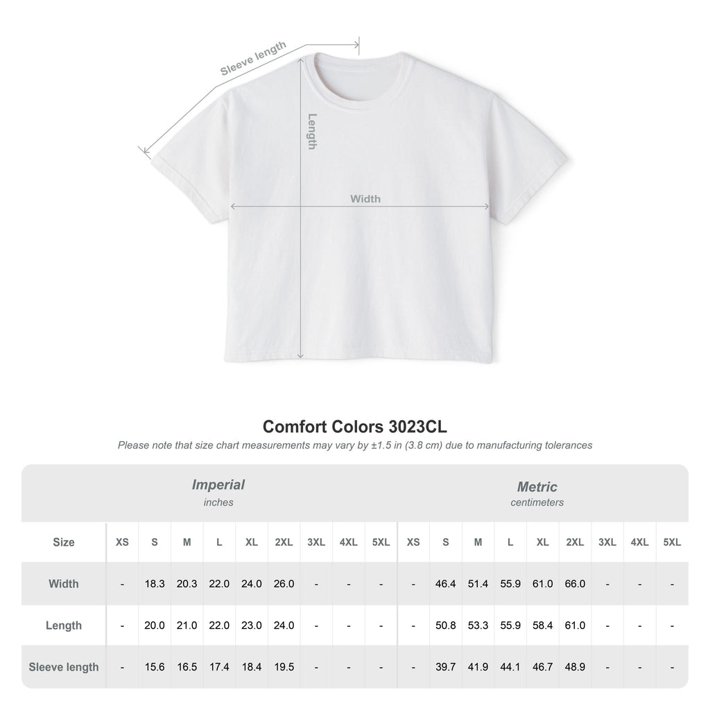 Women’s SportCLT Oversized Hometown Pennant Cropped T-Shirt