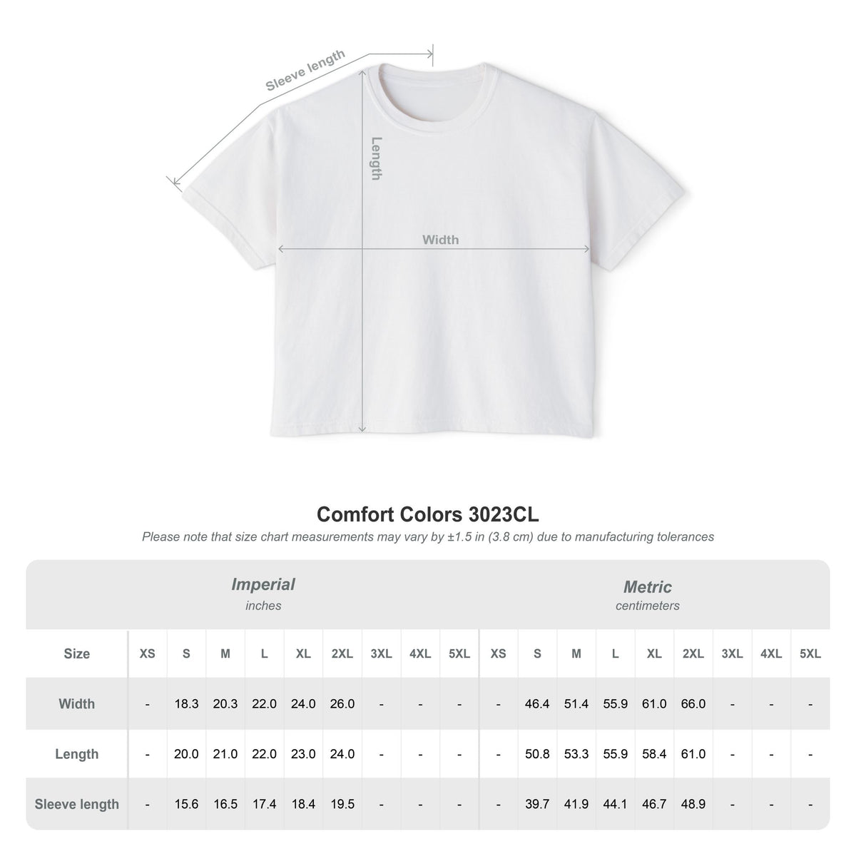 Women’s SportCLT Oversized Hometown Pennant Cropped T-Shirt